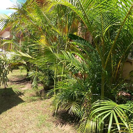 Hotel Boutique Sol Y Luna Spa Ajijic Kültér fotó