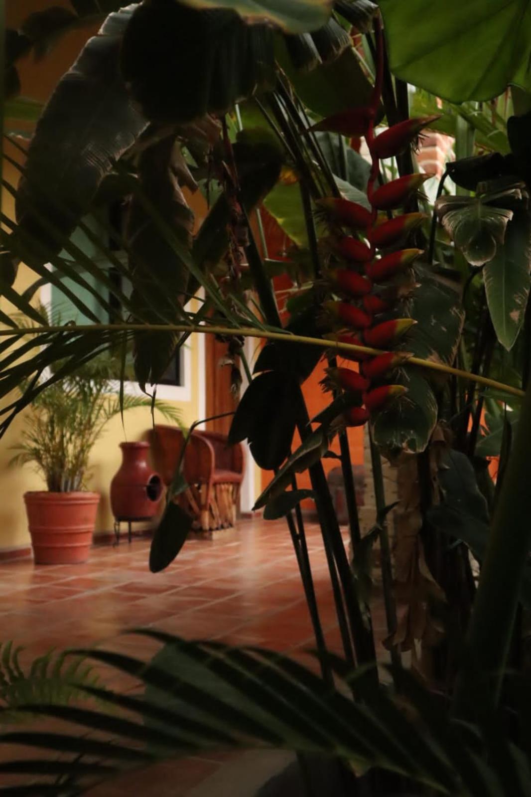 Hotel Boutique Sol Y Luna Spa Ajijic Kültér fotó