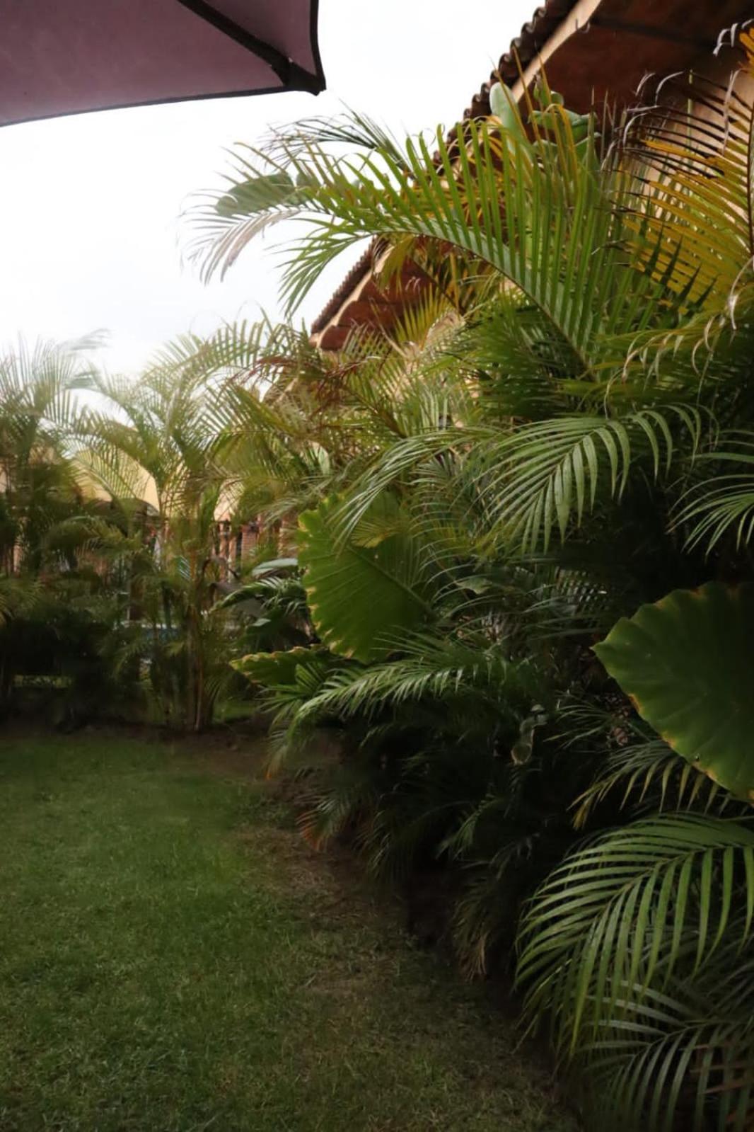 Hotel Boutique Sol Y Luna Spa Ajijic Kültér fotó