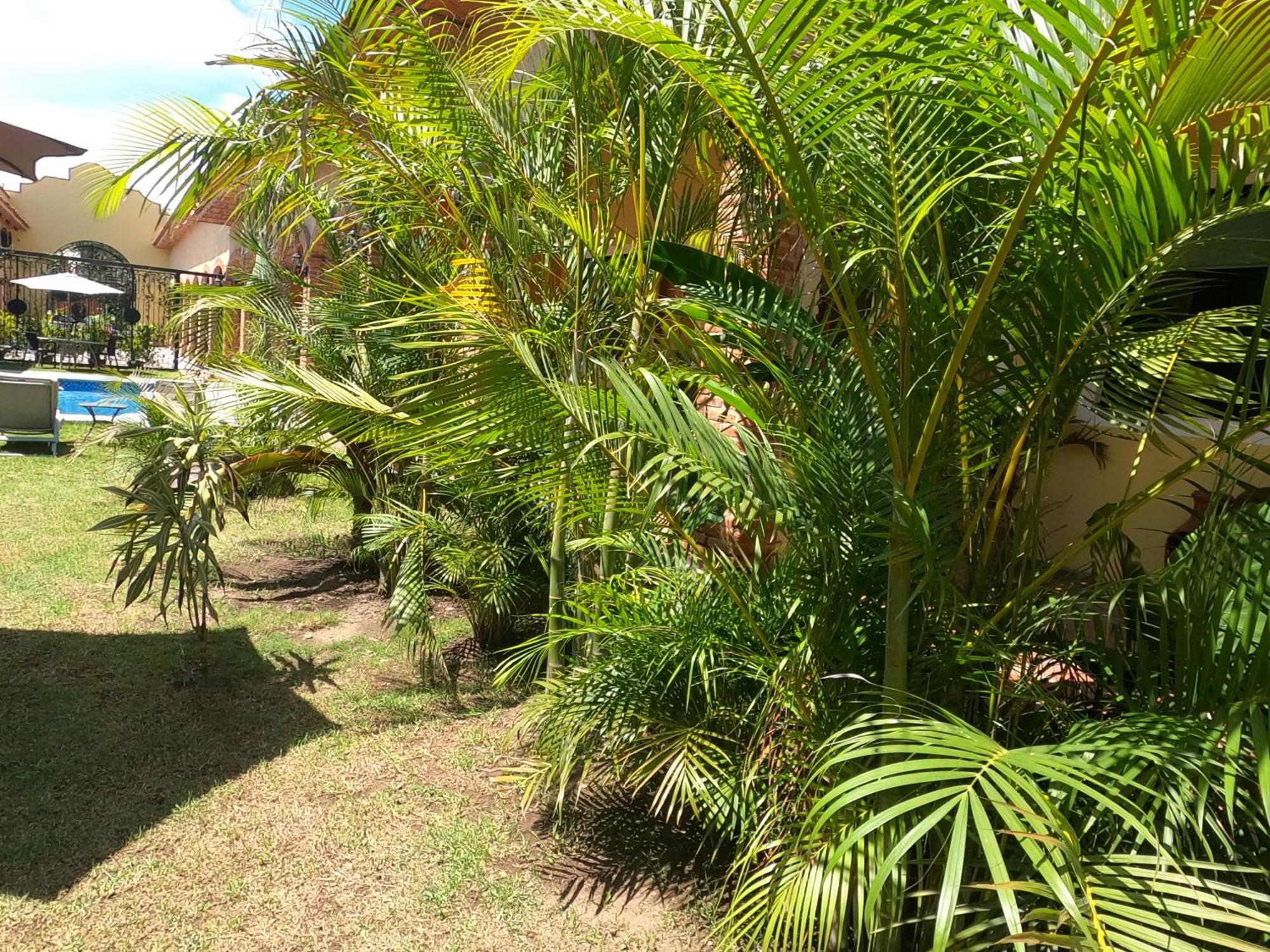 Hotel Boutique Sol Y Luna Spa Ajijic Kültér fotó